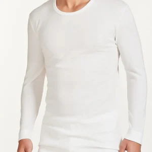 Maglia Ragno Sintonia Uomo Girocollo Manica Lunga Lana e Cotone 65459