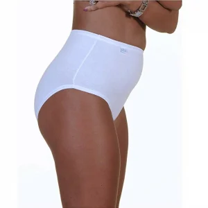 6 Slip Donna Charina Cotone Elasticizzato Maxi 5230