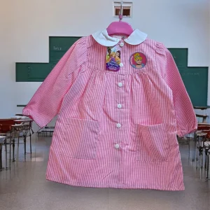 Princess Disney Cartoon Grembiule Scuola Asilo Quadretti Con Ricamo  Art. Pri0497